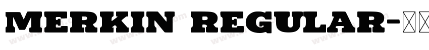 Merkin Regular字体转换